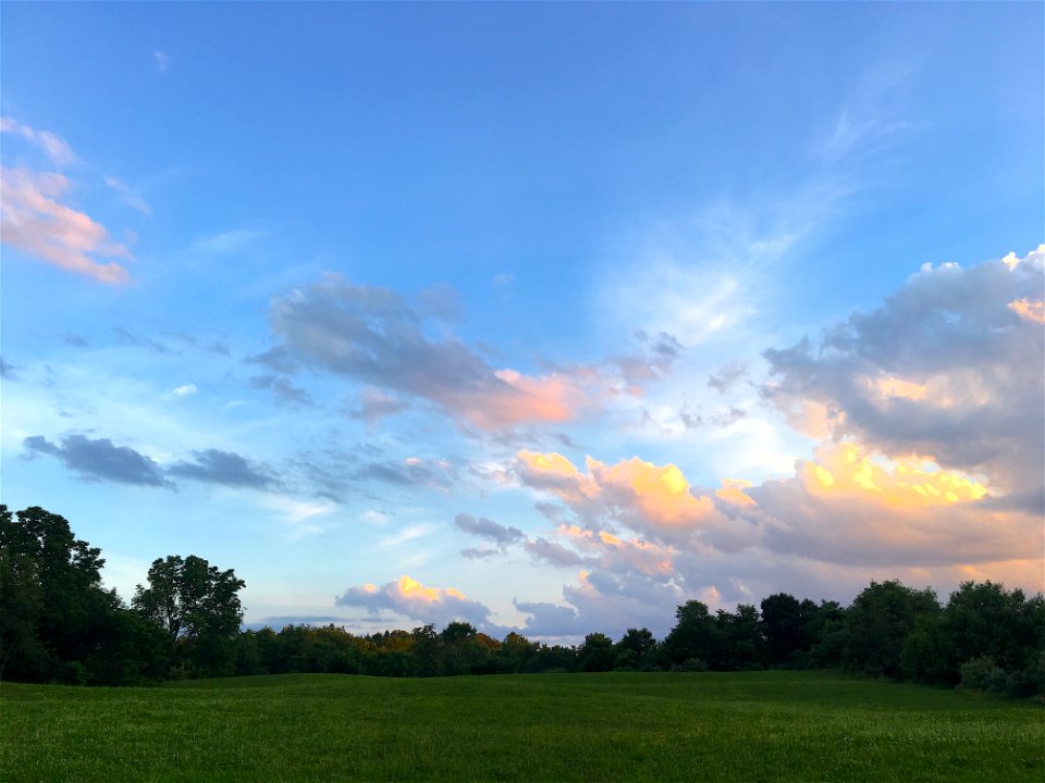 Sky Cloud Grassland Field
