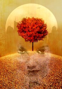Autumn Tree Leaf Still Life Photography