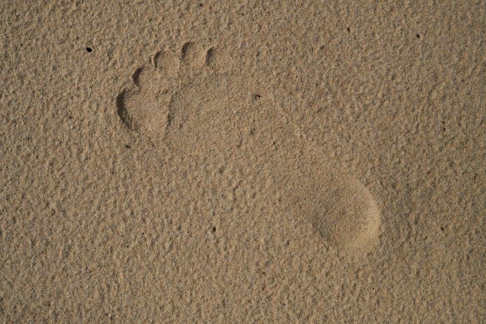 Sand Footprint Soil Material
