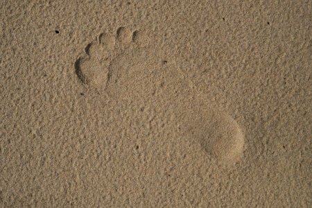 Sand Footprint Soil Material photo