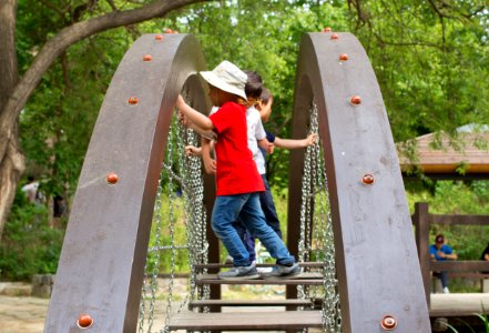 Public Space Tree Leisure Outdoor Play Equipment photo