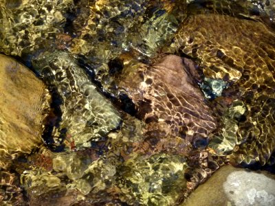 Rock Mineral Water Organism