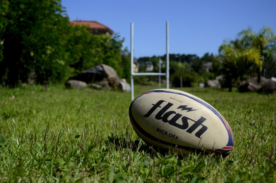 Grass Plant Football Lawn