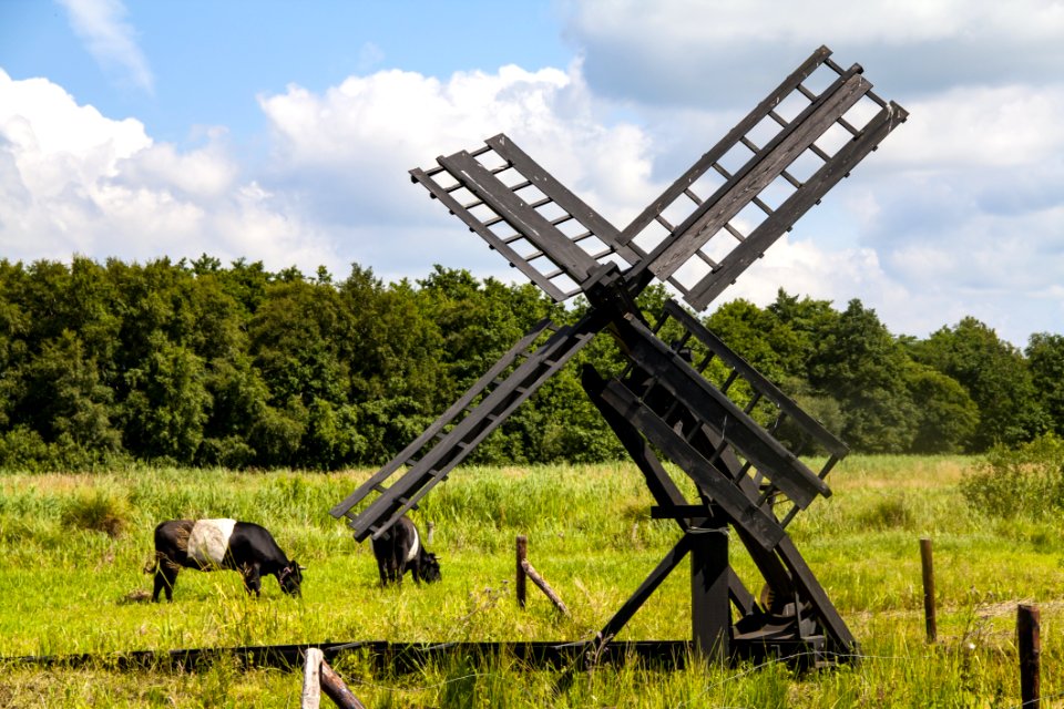 Grassland Pasture Windmill Field