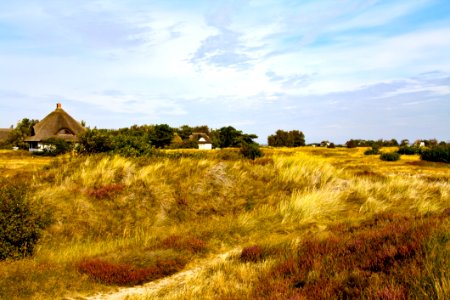 Grassland Ecosystem Prairie Sky