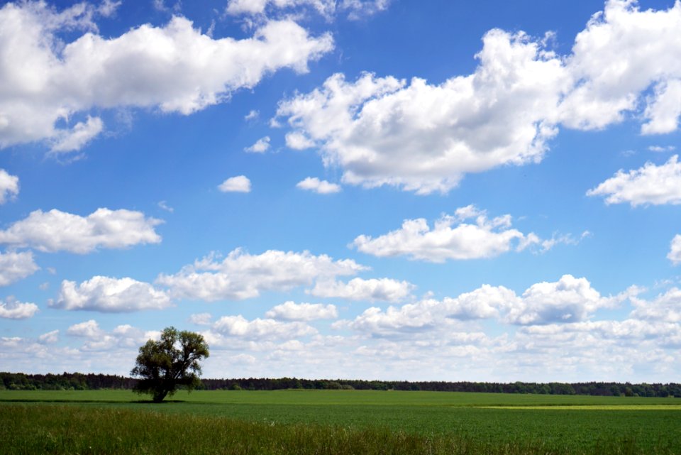 Sky Cloud Grassland Field