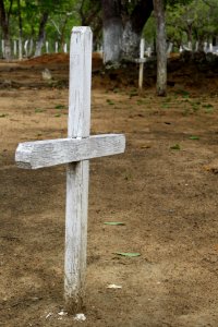 Cross Wood Grave Grass