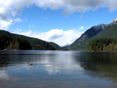 Lake Water Nature Reflection