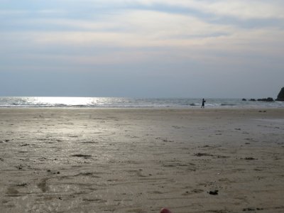 Sea Beach Shore Sky photo