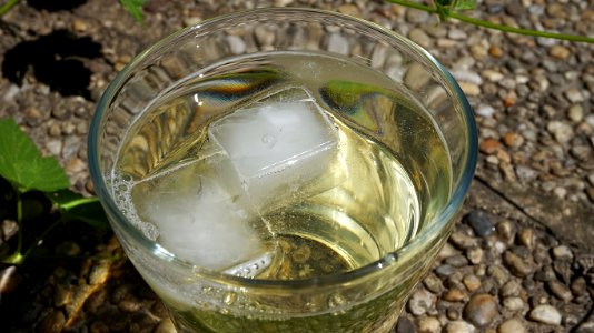 Water Glass Drink Mint Julep