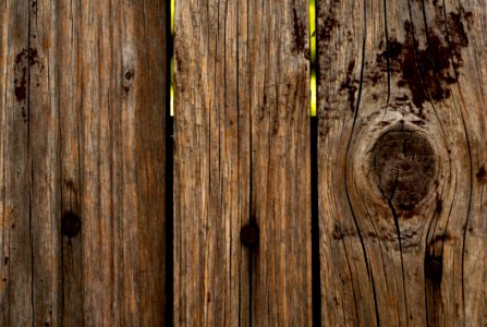 Wood Trunk Tree Wood Stain