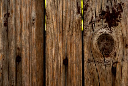 Wood Trunk Tree Wood Stain photo