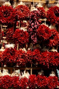 Red Plant Tree Flora