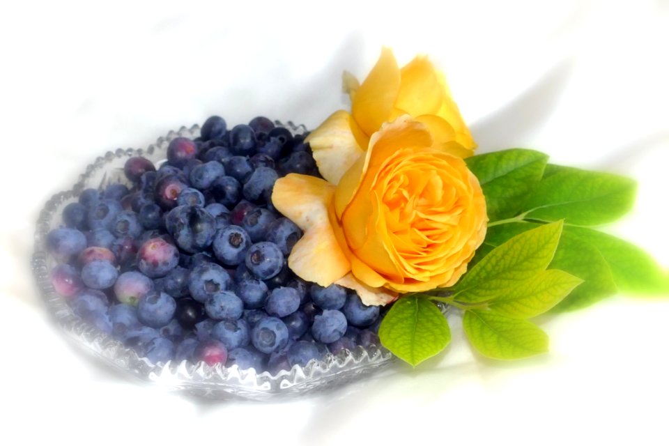 Fruit Berry Petal Flower