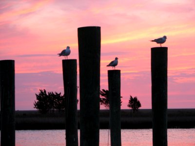 Sky Column Sunset Sunrise