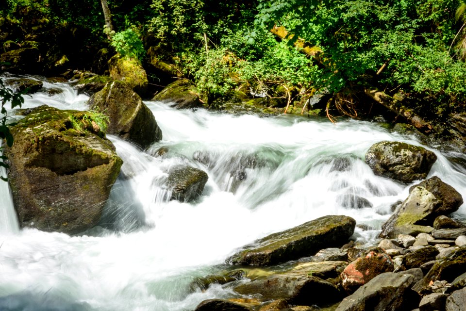 Water Nature Stream Watercourse