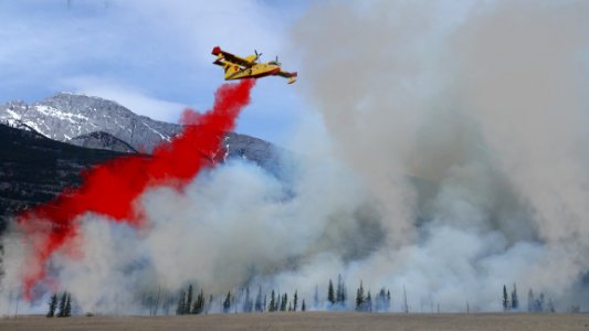Geological Phenomenon Wildfire Stunt Performer Smoke