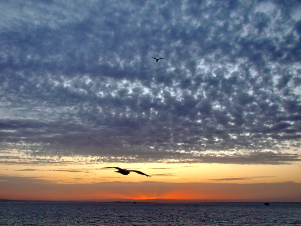 Sky Horizon Sea Ocean