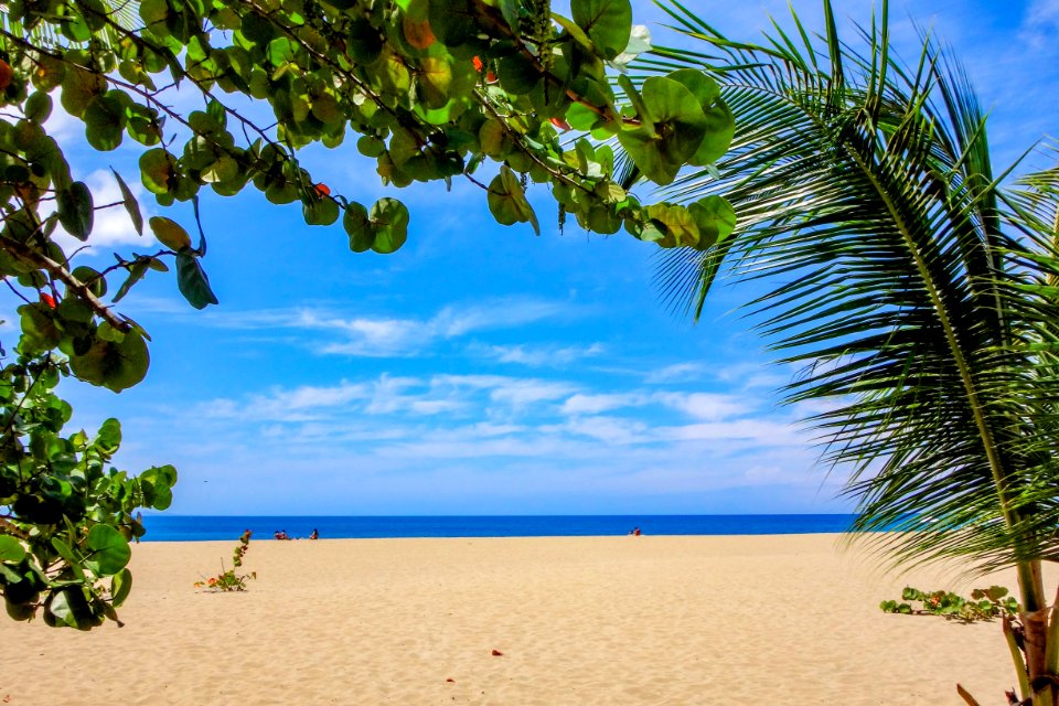 Sky Tropics Body Of Water Caribbean