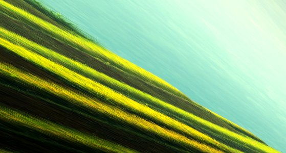 Green Yellow Grass Sky