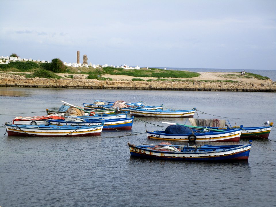 Body Of Water Boat Water Transportation Water