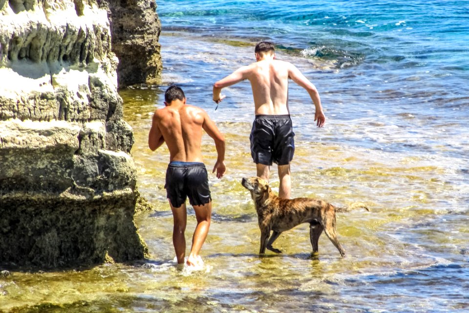 Dog Beach Fun Vacation