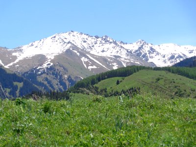 Mountainous Landforms Wilderness Mountain Ecosystem photo