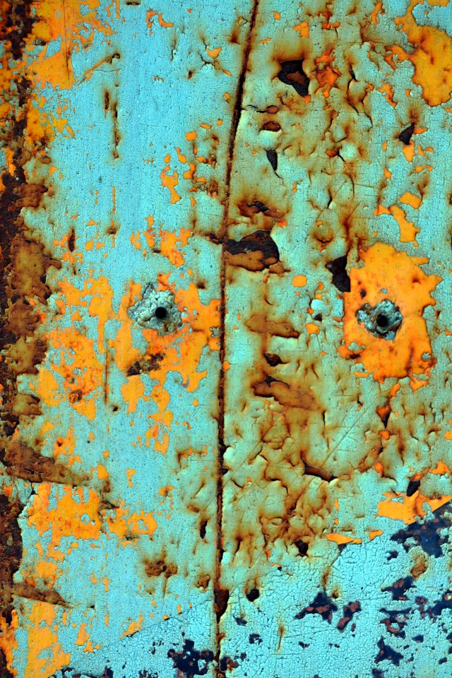 Reef Organism Coral Rust