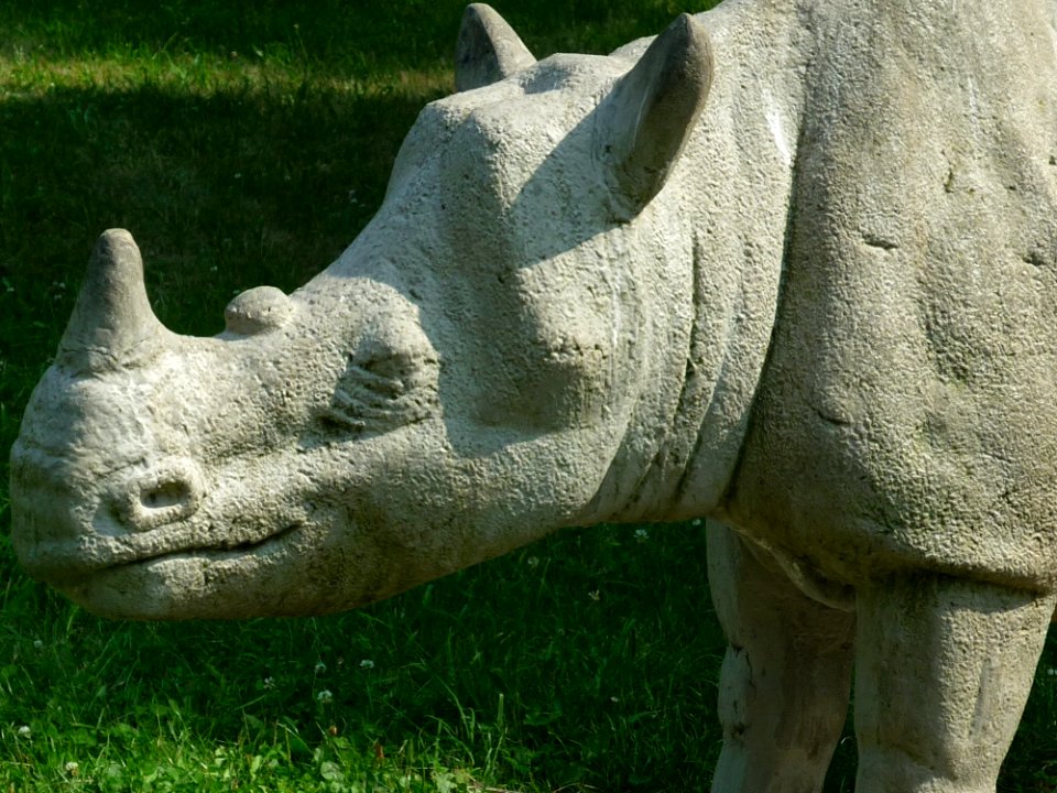 Rhinoceros Fauna Terrestrial Animal Sculpture