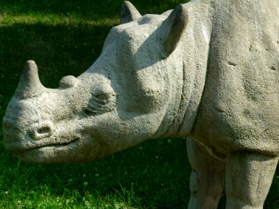 Rhinoceros Fauna Terrestrial Animal Sculpture