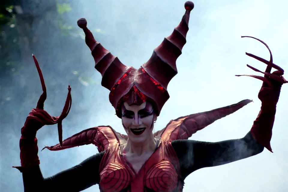 Fictional Character Carnival