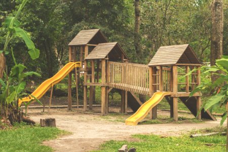 Public Space Playground Chute Tree