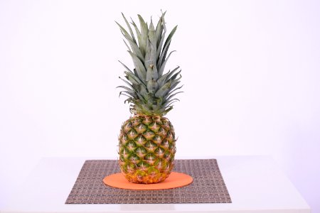 Ananas Pineapple Plant Flowerpot photo