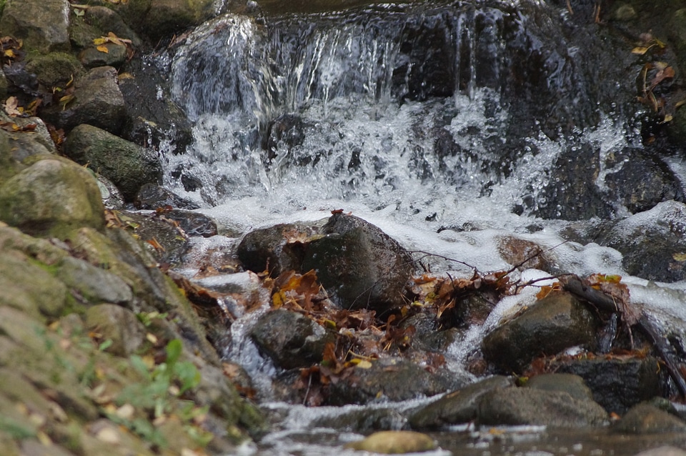Landscape waters murmur