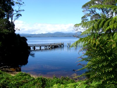 Nature Body Of Water Loch Nature Reserve