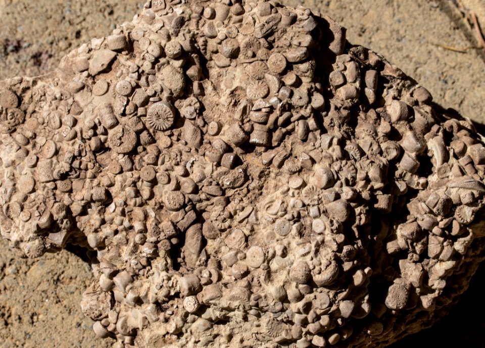 Rock Soil Geology Bedrock photo