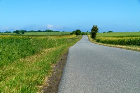 Road Path Field Grassland