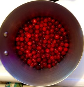 Berry Fruit Cranberry Slatko