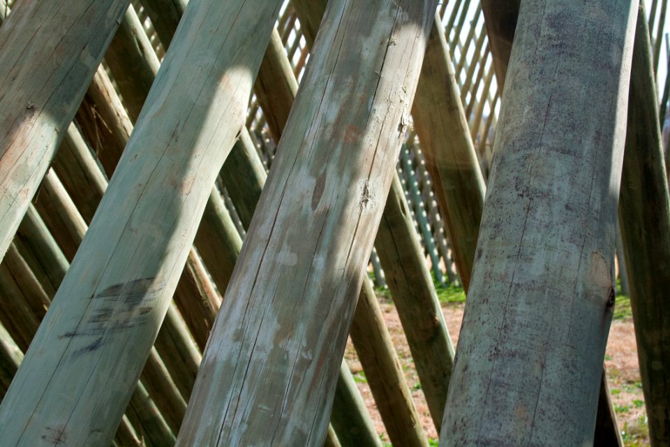 Tree Structure Wood Outdoor Structure