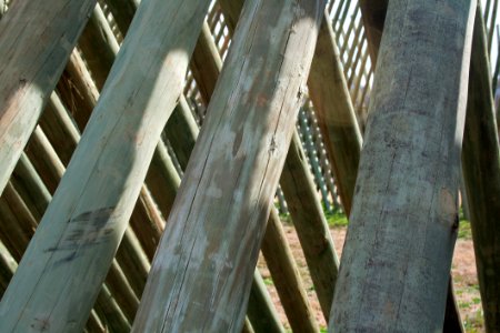 Tree Structure Wood Outdoor Structure