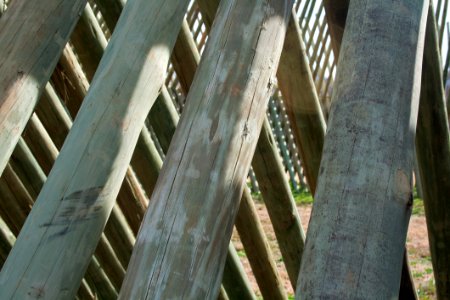 Tree Structure Wood Outdoor Structure photo