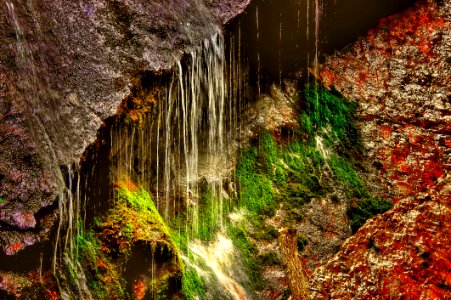 Water Nature Vegetation Leaf