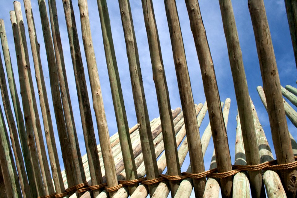 Structure Iron Tree Wood