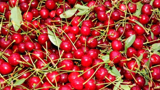 Natural Foods Fruit Cherry Local Food photo