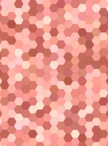 Pink Pattern Brown Design photo
