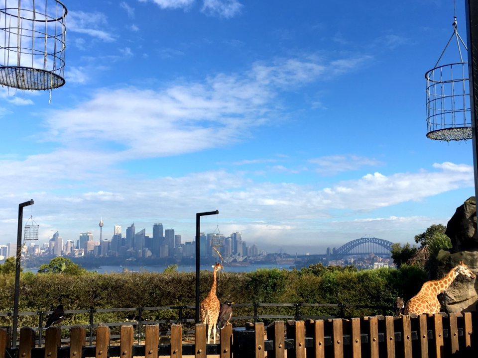 Sky Landmark City Skyline