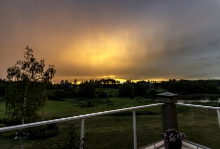 Sky Cloud Evening Tree photo