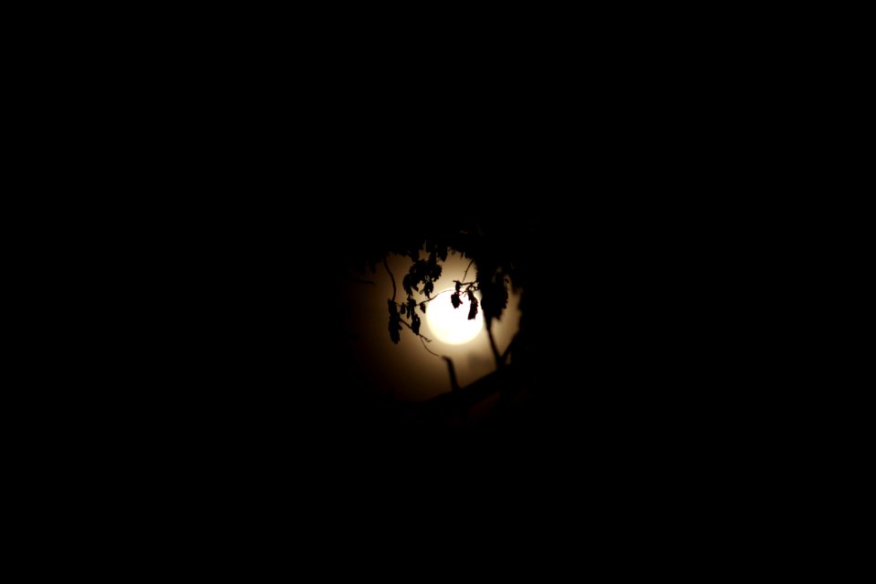 Black Darkness Light Night