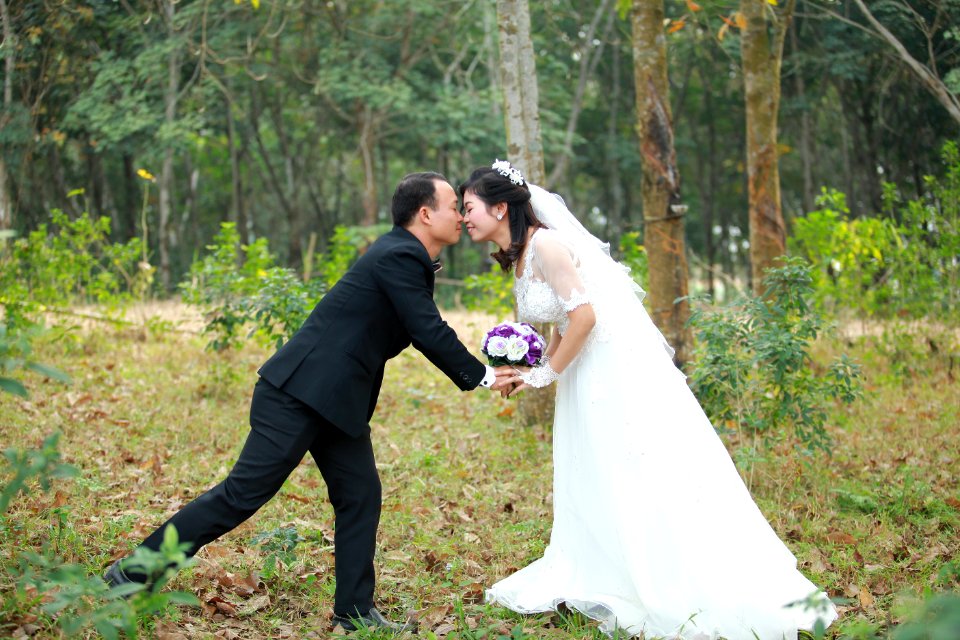 Photograph Bride Wedding Gown