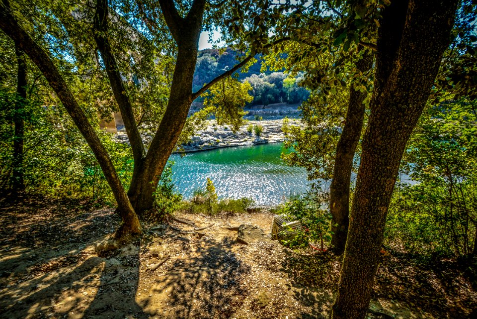 Nature Water Tree Vegetation